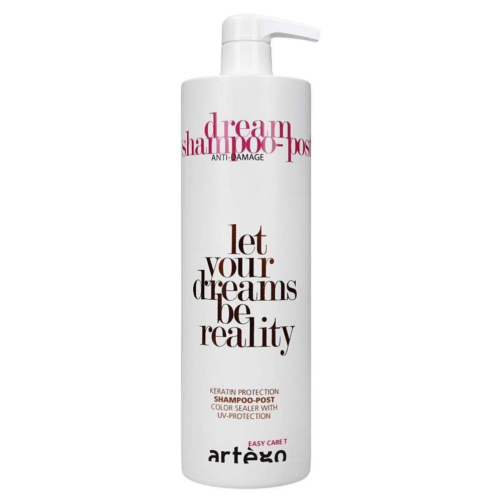 Artego Easy Care T Dream Shampoo-Post attīrošs šampūns matiem (1000ml) cena un informācija | Šampūni | 220.lv