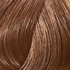 Краска для волос Wella Color Touch 7.3, 60 мл цена и информация | Краска для волос | 220.lv