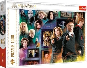 Головоломка «Гарри Поттер» цена и информация | Пазлы | 220.lv