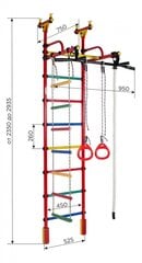 Sporta komplekss (vingrošanas siena) Žirafe, oranža - varavīksnes krāsa, 235-293x52,5 cm cena un informācija | Zviedru sienas | 220.lv