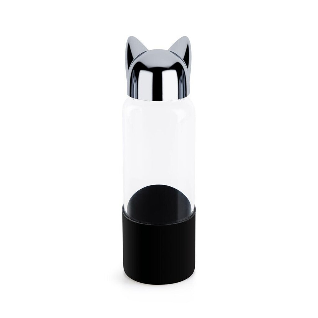 Borsilikāta stikla pudele ar melnu silikona ietvaru Cat 350ml цена и информация | Ūdens pudeles | 220.lv