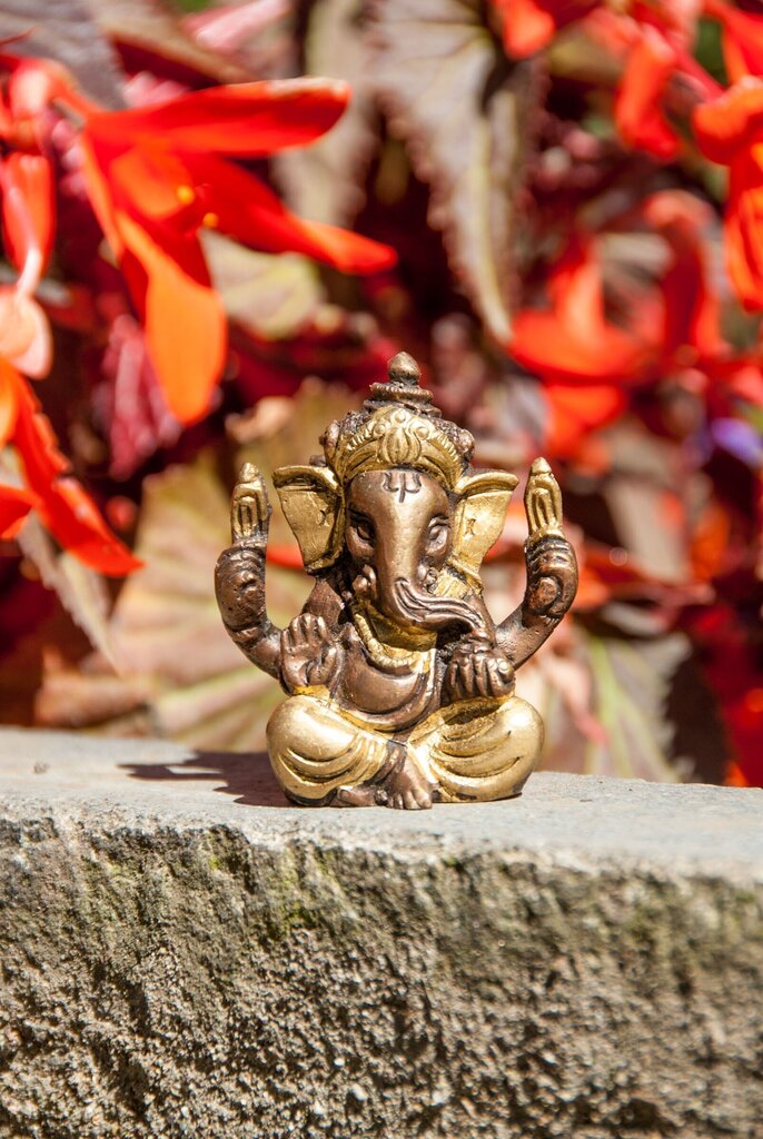 Vara figūriņa Ganesha, 5,7 cm цена и информация | Interjera priekšmeti | 220.lv