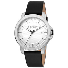 Мужские часы Esprit ES1G160L0045 цена и информация | Мужские часы | 220.lv