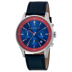 Vīriešu pulkstenis Esprit ES1G209L0025 cena un informācija | Vīriešu pulksteņi | 220.lv