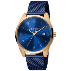 Vīriešu pulkstenis Esprit ES1G212M0085 cena un informācija | Vīriešu pulksteņi | 220.lv