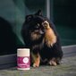 Uztura bagātinātājs Mycani Liebestoll suņu un kaķu hormonālajai sistēmai cena un informācija | Vitamīni, uztura bagātinātāji, pretparazītu līdzekļi kaķiem | 220.lv