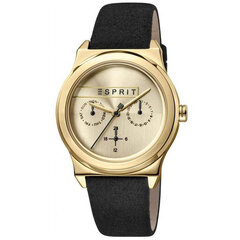 Женские часы Esprit ES1L077L0025 цена и информация | Женские часы | 220.lv