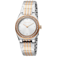 Sieviešu pulkstenis Esprit ES1L148M0095 cena un informācija | Sieviešu pulksteņi | 220.lv