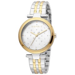 Sieviešu pulkstenis Esprit ES1L167M0105 cena un informācija | Sieviešu pulksteņi | 220.lv