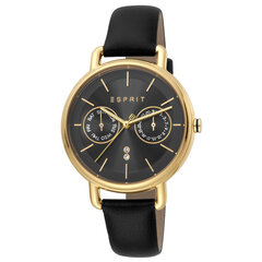 Женские часы Esprit ES1L179L0045 цена и информация | Женские часы | 220.lv