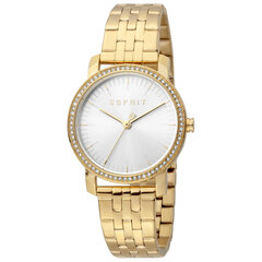Sieviešu pulkstenis Esprit ES1L183M2065 cena un informācija | Sieviešu pulksteņi | 220.lv