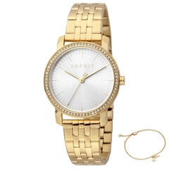 Женские часы Esprit ES1L183M2065 цена и информация | Женские часы | 220.lv