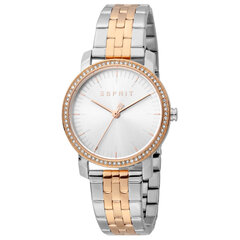 Женские часы Esprit ES1L183M2095 цена и информация | Женские часы | 220.lv