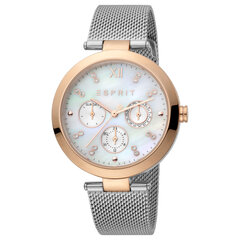 Sieviešu pulkstenis Esprit ES1L213M1035 cena un informācija | Sieviešu pulksteņi | 220.lv