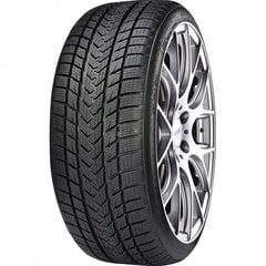 GRIPMAX Suregrip Pro Winter 275/35R21 103V XL цена и информация | Зимняя резина | 220.lv