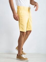 мужские желтые шорты wayne цена и информация | Мужские шорты | 220.lv