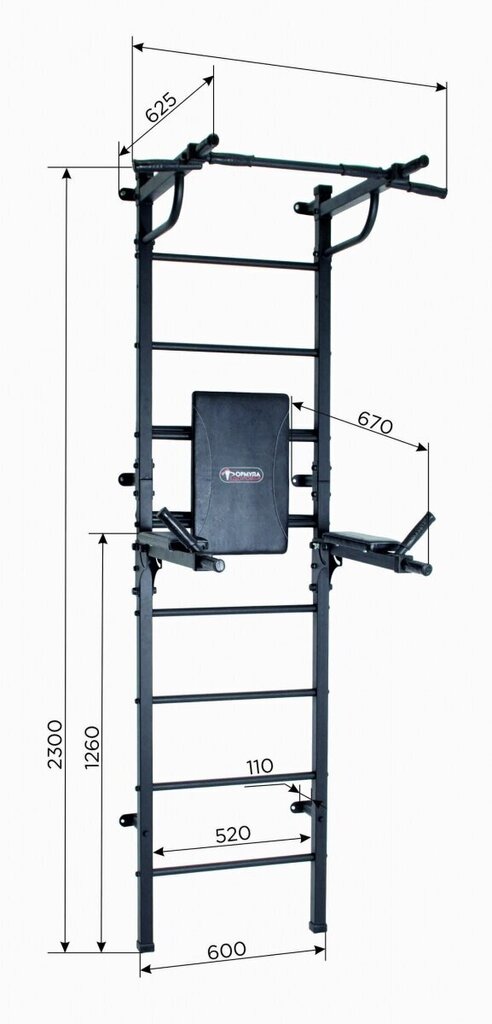 Sporta komplekss (vingrošanas siena) START, melns, 230x61 cm cena un informācija | Zviedru sienas | 220.lv