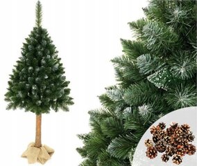 Искусственная новогодняя елка Diamond 3D с натуральным стволом и шишками, 180 см цена и информация | Искусственные елки | 220.lv