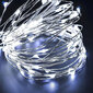 Virtene 20 LED MicroLED "Smart", auksti balta cena un informācija | Ziemassvētku lampiņas, LED virtenes | 220.lv