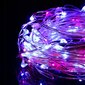 Virtene 20 LED MicroLED "Smart", rozā/zila cena un informācija | Ziemassvētku lampiņas, LED virtenes | 220.lv