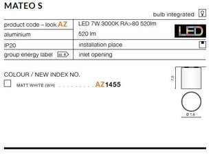 Azzardo потолочный светильник Mateo S White цена и информация | Потолочный светильник | 220.lv