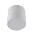 Azzardo griestu lampa Mateo S White