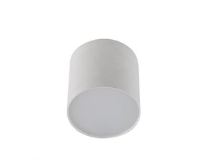 Azzardo потолочный светильник Mateo M White цена и информация | Потолочные светильники | 220.lv