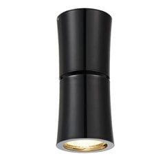 Azzardo griestu lampa Lino Black цена и информация | Потолочные светильники | 220.lv