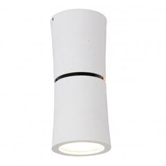 Azzardo потолочный светильник Lino White цена и информация | Потолочные светильники | 220.lv
