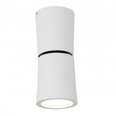 Azzardo griestu lampa Lino White