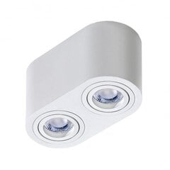 Azzardo griestu lampa Brant 2 White цена и информация | Потолочные светильники | 220.lv