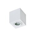 Azzardo griestu lampa Brant White