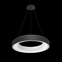 Azzardo светильник Sovana 45 Smart AZ3443 цена и информация | Настенный/подвесной светильник Eye Spot 11 BL, чёрный | 220.lv