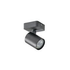 Azzardo griestu lampa Exo Black 1 AZ3193 cena un informācija | Griestu lampas | 220.lv