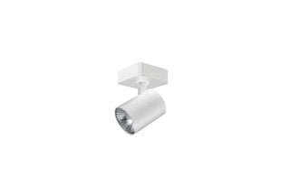 Azzardo потолочный светильник Exo White 1 AZ3194 цена и информация | Потолочные светильники | 220.lv