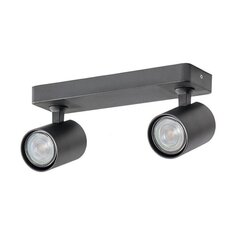 Azzardo griestu lampa Exo Black 2 AZ3195 цена и информация | Потолочные светильники | 220.lv