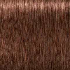 Краска для волос Schwarzkopf Igora Royal Absolutes 6.580, 60 мл цена и информация | Краска для волос | 220.lv