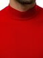 TMK Jeans Adīti Džemperi Red YY05-6/M cena un informācija | Vīriešu jakas | 220.lv