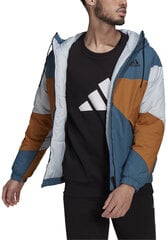 Adidas Куртки Bts Hd Jacket Blue Brown GT7396/S цена и информация | Мужские толстовки | 220.lv