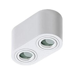 Azzardo griestu lampa Brant 2 White цена и информация | Потолочные светильники | 220.lv