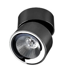 Azzardo griestu lampa Scorpio Black/Chrome цена и информация | Потолочные светильники | 220.lv