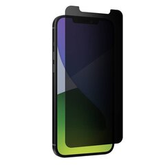 Aizsargstikls, piemērots iPhone 12 Pro Max цена и информация | Защитные пленки для телефонов | 220.lv