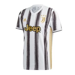 Спортивная футболка мужская Adidas Juventus Home 20/21 M EI9894 63962 цена и информация | Мужская спортивная одежда | 220.lv