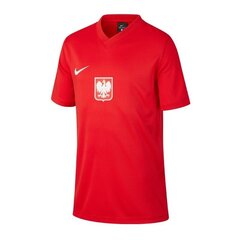 Sporta T-krekls Nike Poland Breathe Jr CD1207 688 cena un informācija | Zēnu krekli | 220.lv