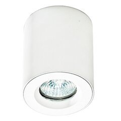 Azzardo потолочный светильник Aro White цена и информация | Потолочные светильники | 220.lv