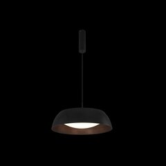Azzardo подвесной светильник Lenox Top 40 Smart Black/Copper AZ3147 цена и информация | Настенный/подвесной светильник Eye Spot 11 BL, чёрный | 220.lv