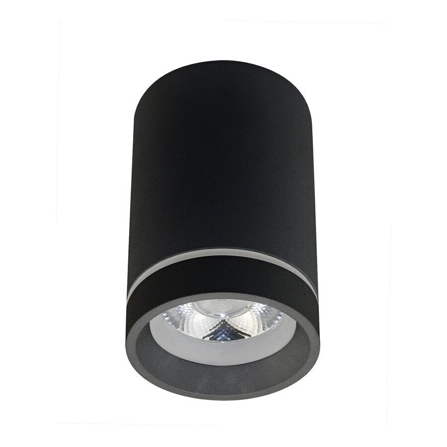 Azzardo gaismeklis Bill AZ3376 цена и информация | Griestu lampas | 220.lv