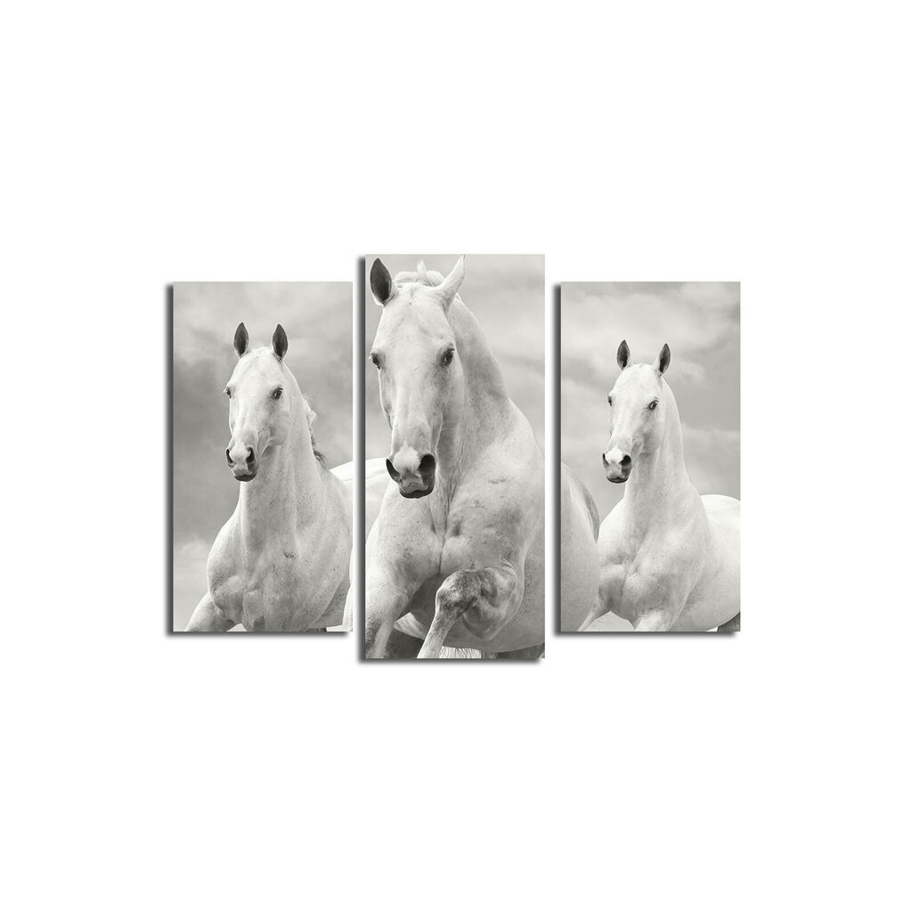 Trīs daļu reprodukcija Trīs balti zirgi цена и информация | Gleznas | 220.lv
