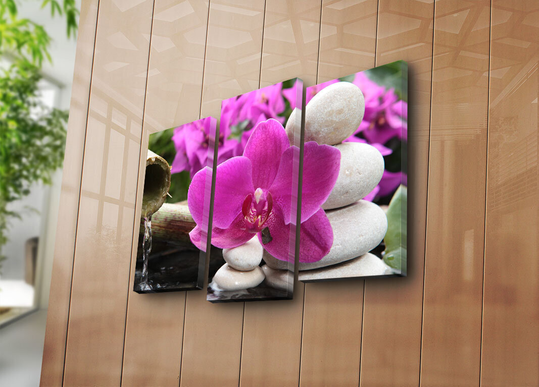 Trīs daļu reprodukcija Orhidejas zieds cena un informācija | Gleznas | 220.lv