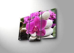 Trīs daļu reprodukcija Orhidejas zieds cena un informācija | Gleznas | 220.lv